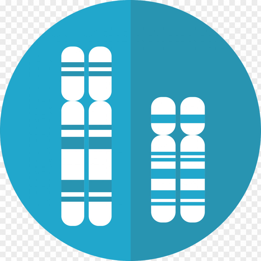 Chromosome Research Website Business Therapy Logo PNG