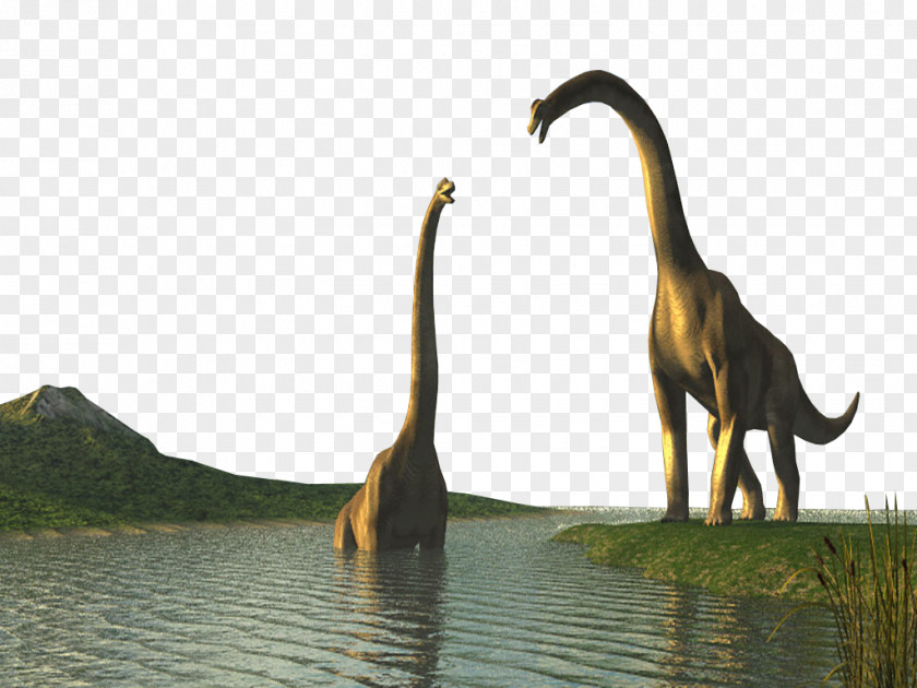 Dinosaur Wildlife Screenshot Advertising PNG