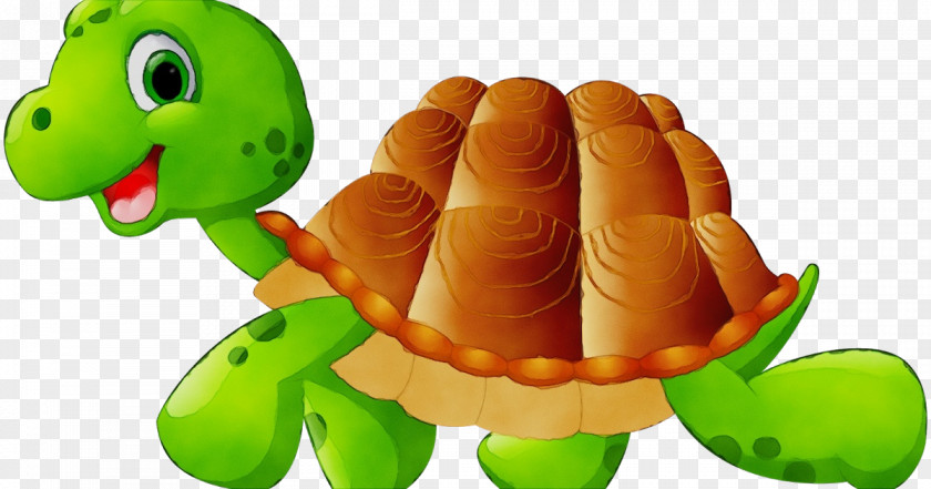 Turtle Clip Art Animated Cartoon Image PNG