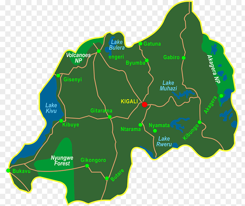 Bamboo Growth Forests Volcanoes National Park Kazinga Nyungwe Forest Virunga Gorilla PNG