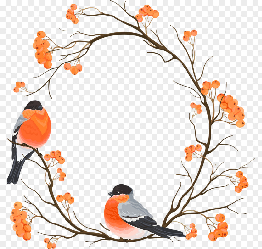 Chinese Wind Round Border Branch Bird Eurasian Bullfinch Drawing Embroidery Clip Art PNG