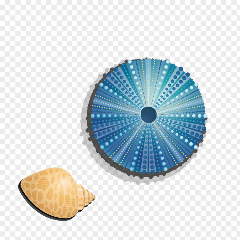 Conch Shell Blue Seashell Color PNG