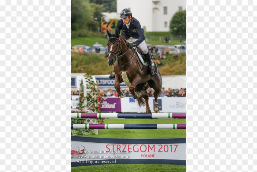 European Castle Show Jumping Stallion Hunt Seat Eventing Dressage PNG
