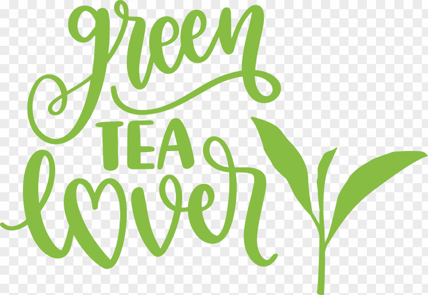 Green Tea Lover PNG