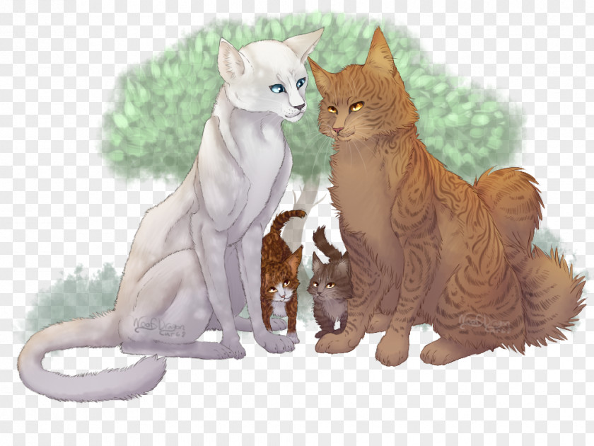 Long-haired Warriors Cat SkyClan's Destiny Firestar Tigerstar PNG