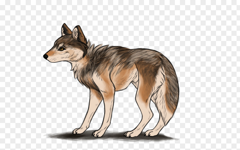 Merak Jackal Red Fox Coyote Wolf By Jennifer Ashley, Cris Dukehart (narrator) (9781515958642) PNG
