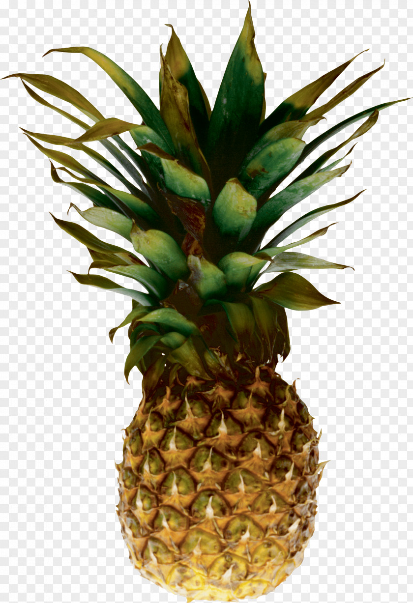 Pineapple Image Download Juice Cuban Cuisine Fruit PNG