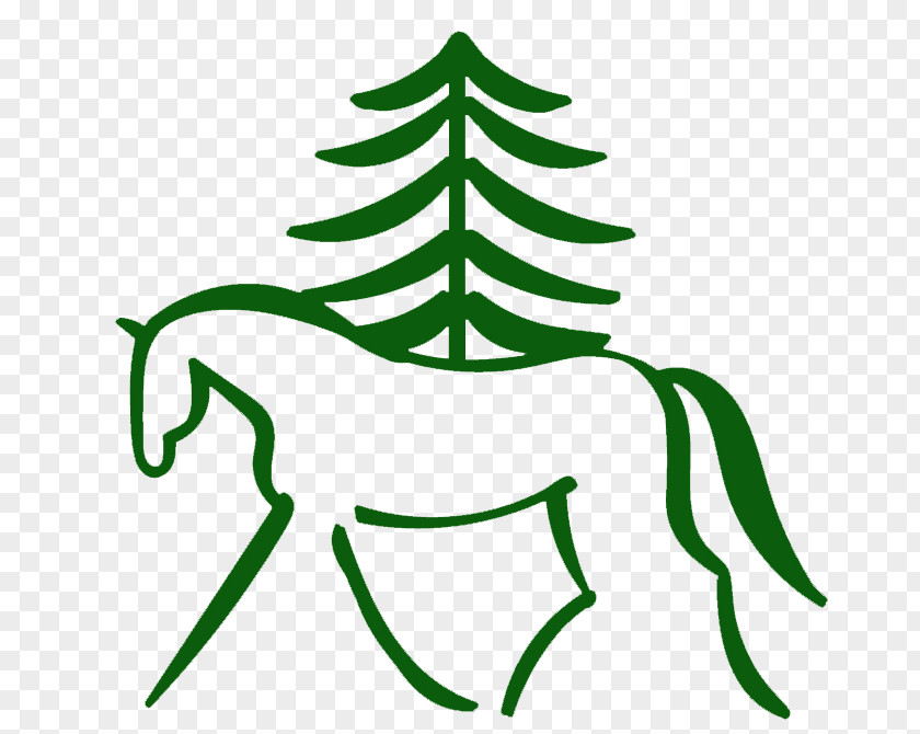 Southern Pines Riding School Whitney Weston Eventing Clip Art PNG