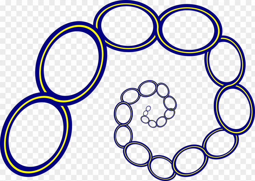 Spiral Map Clip Art PNG