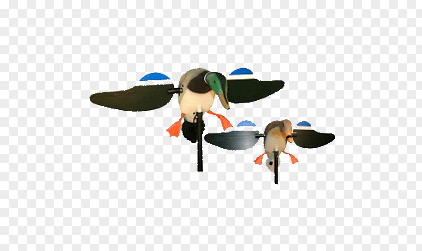 Duck Mallard Decoy Hunting PNG
