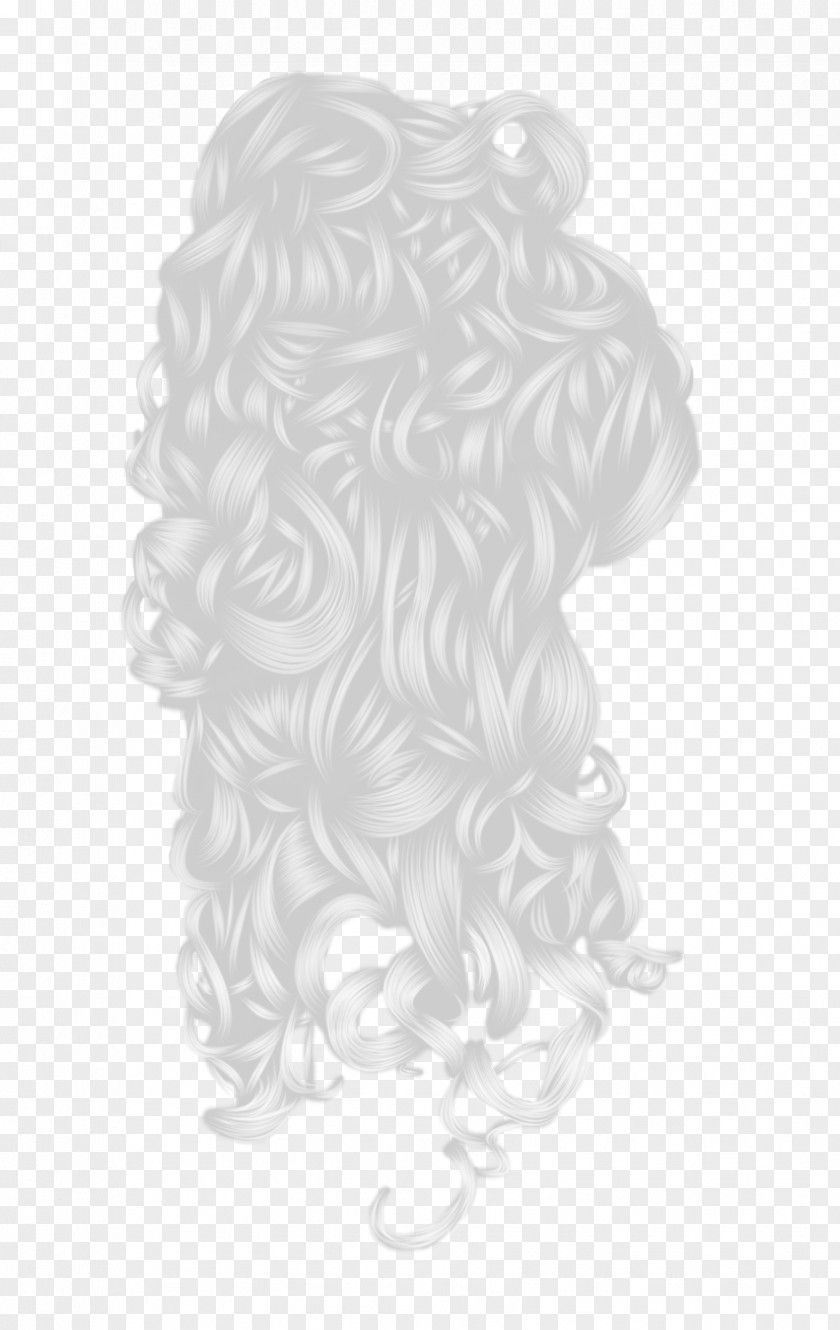 Hair PhotoScape PNG