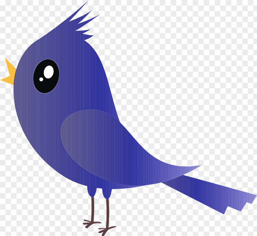 Bird Beak Cartoon Violet Songbird PNG