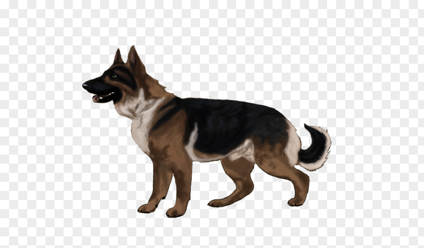 Bohemian Shepherd Tervuren Police Cartoon PNG