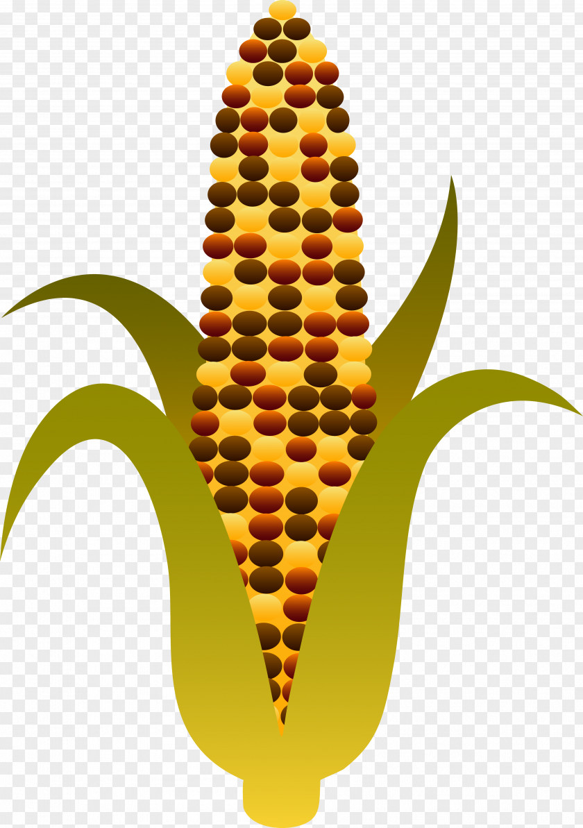 Fall Corn Cliparts Candy On The Cob Maize Sweet Clip Art PNG