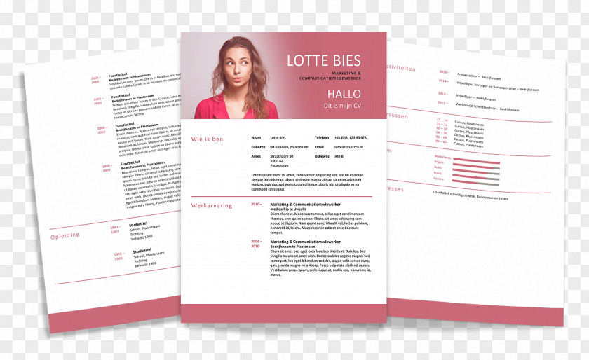 Modern Cv .nl Curriculum Vitae Adaptable PNG