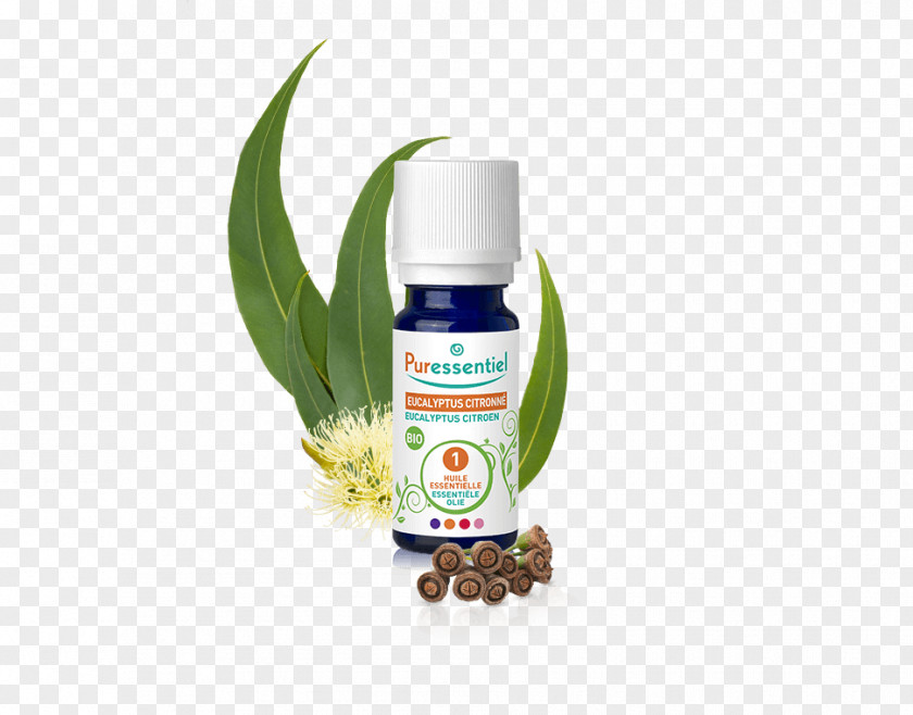Oil Essential Eucalyptus Lemon-scented Gum PNG