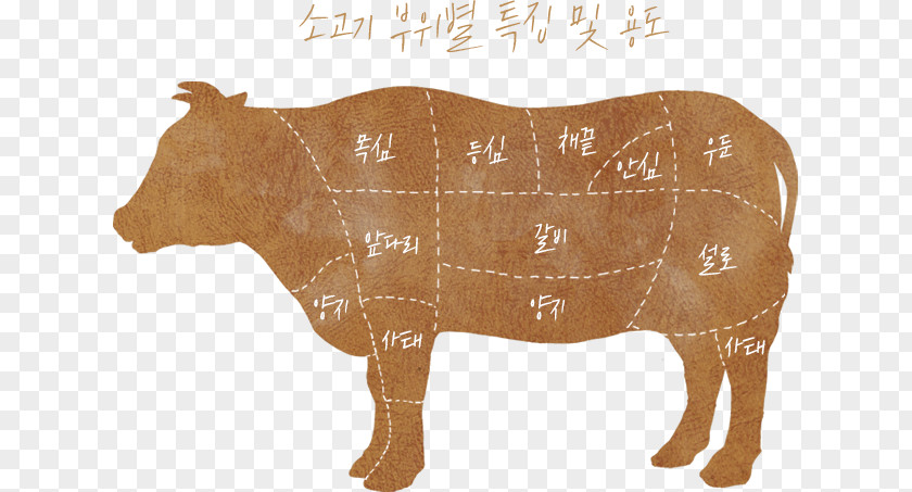 Beef Cow Baka Meat Ox Bull PNG