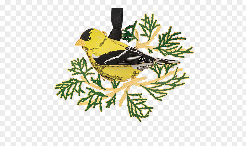 Oriole Twig Background PNG