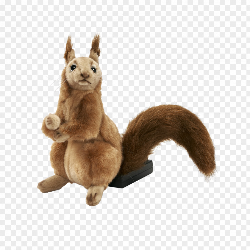Squirrel Stuffed Animals & Cuddly Toys PNG