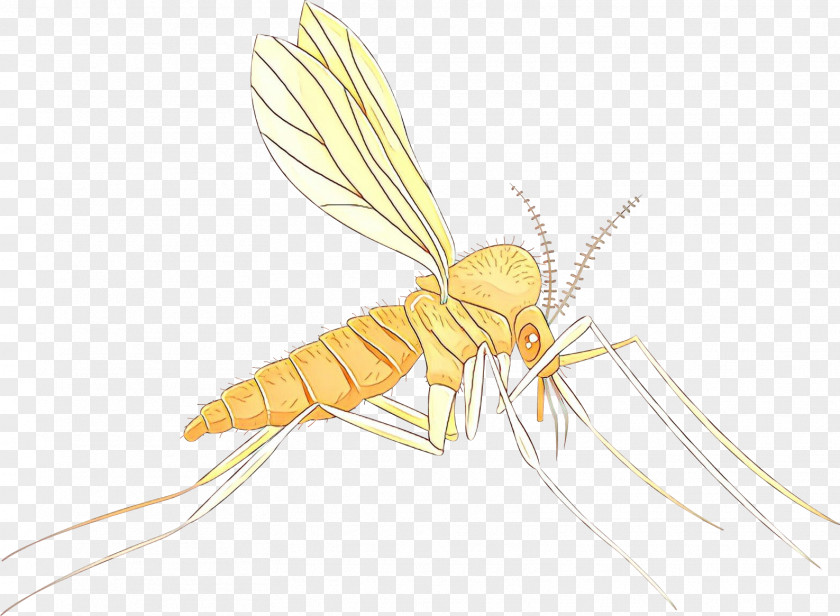 Termite Dragonflies And Damseflies Mosquito Insect PNG