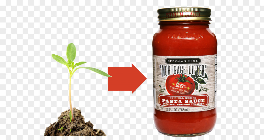 Tomato Sauce Mortgage Lifter Américaine Pasta Heirloom PNG