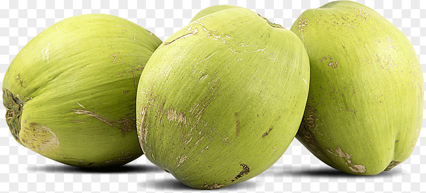 Coconut Water Food Arecaceae Honeydew PNG