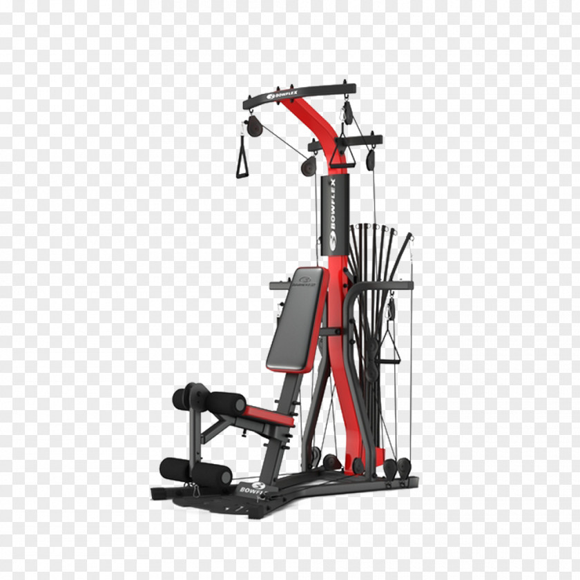 Gym Fitness Equipment Exercise Machine Centre Physical PNG