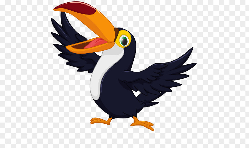 Toucan Bird Parrot Clip Art PNG