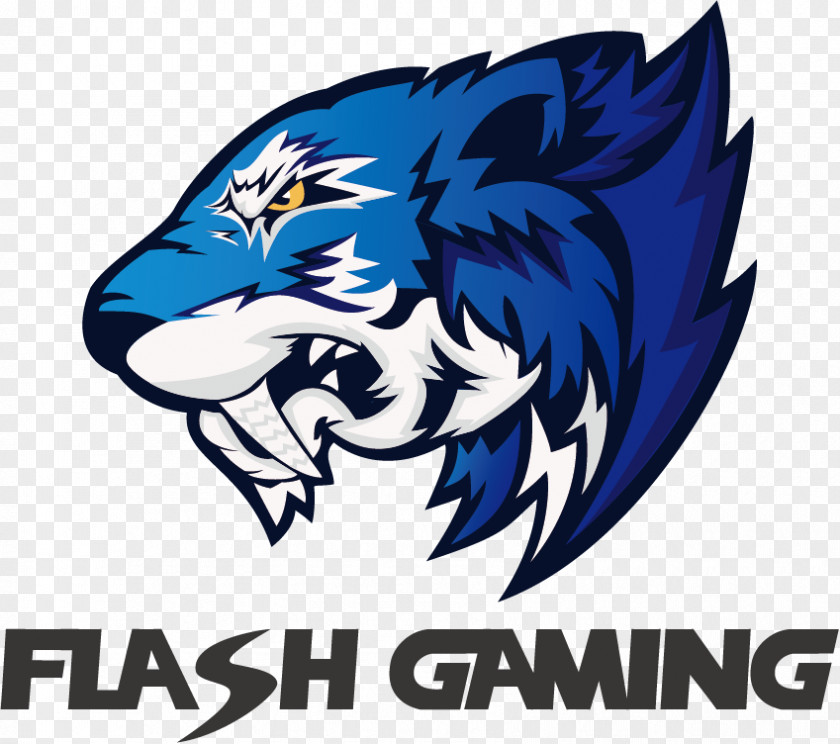 ELEAGUE Major: Boston 2018 Counter-Strike: Global Offensive PGL 2017 Kraków Major Championship Flash Gaming PNG