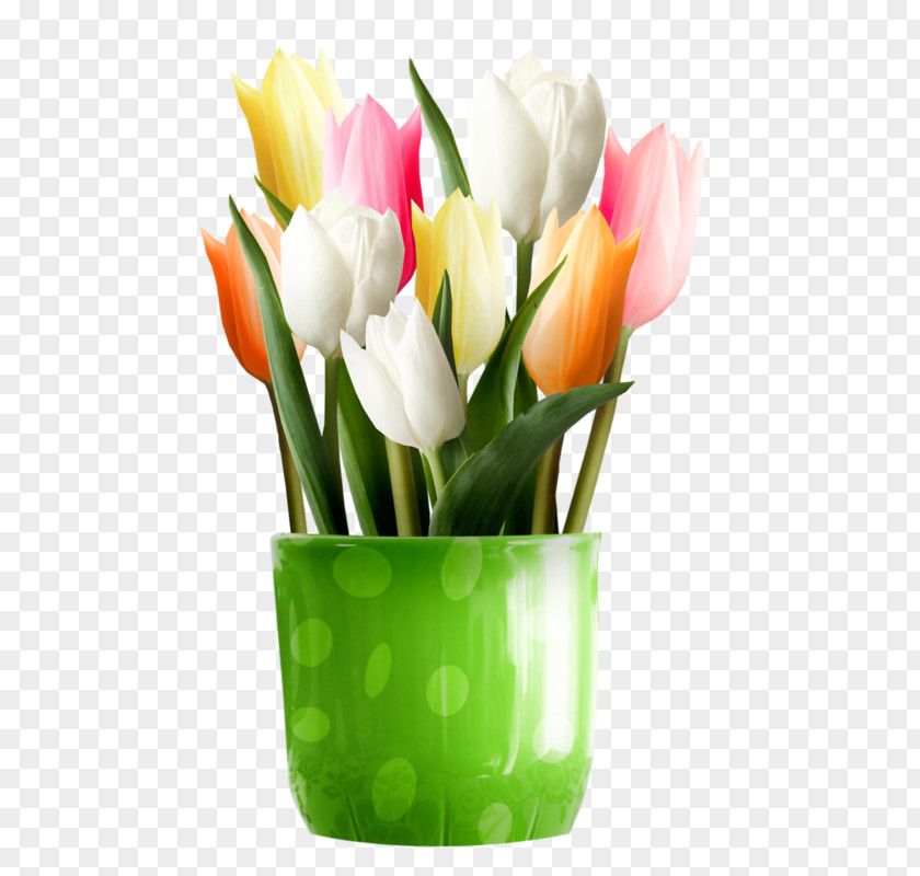 Flower Tulip Desktop Wallpaper Clip Art PNG