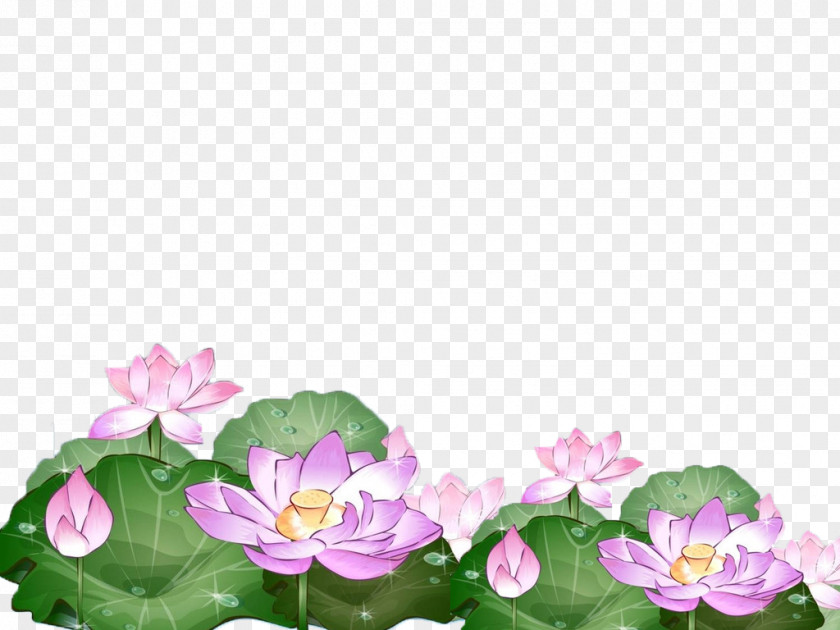 Hand-painted Lotus Picture Frame Clip Art PNG