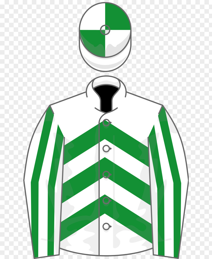Horse 2019 Grand National 2018 Aintree Racecourse Tiger Roll PNG