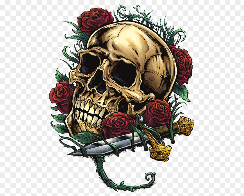 Skull Human Symbolism Rose Bone Calvaria PNG