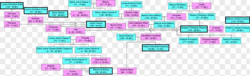 To Observe And Learn From Real Life Roman Empire Ancient Rome Republic Family Tree PNG