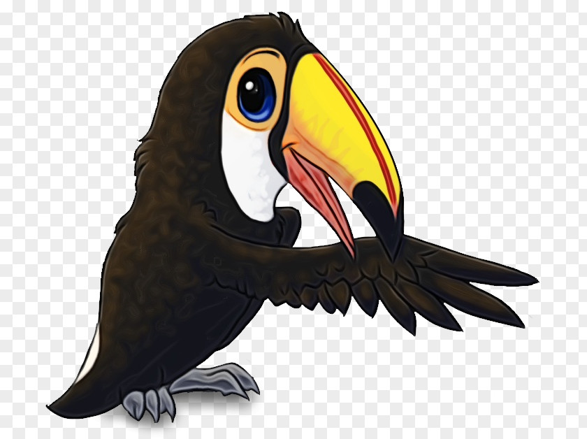 Toucan Bird Clip Art Cartoon PNG