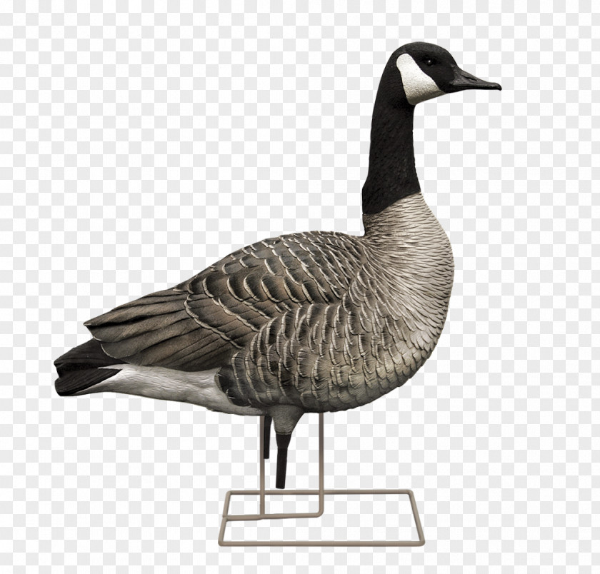 Xylophone Canada Goose Decoy Hunting PNG
