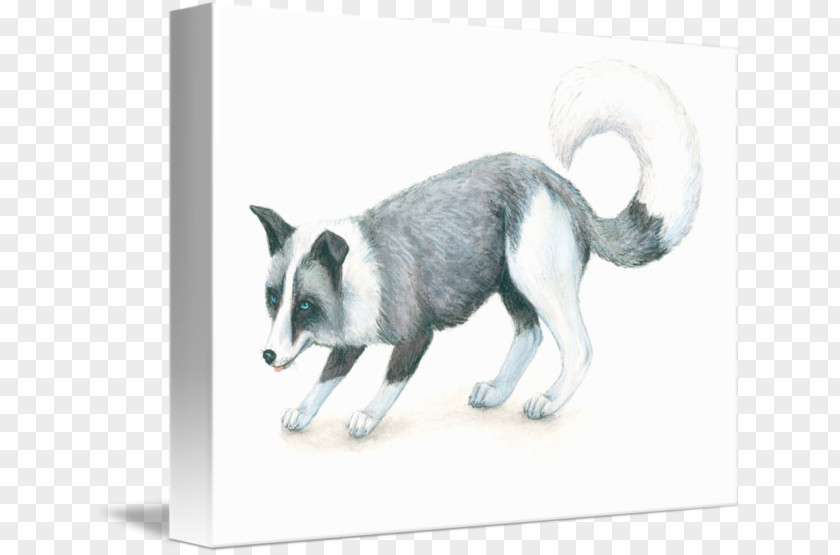 Fox Silver Domesticated Red The Holocaust Dog PNG