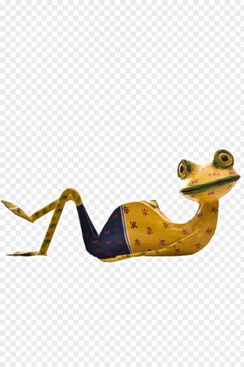 Frog Shoe PNG