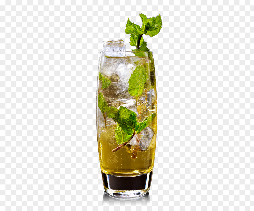 Ginger Ale Mojito Mint Julep Rum And Coke Cocktail Garnish Gin Tonic PNG