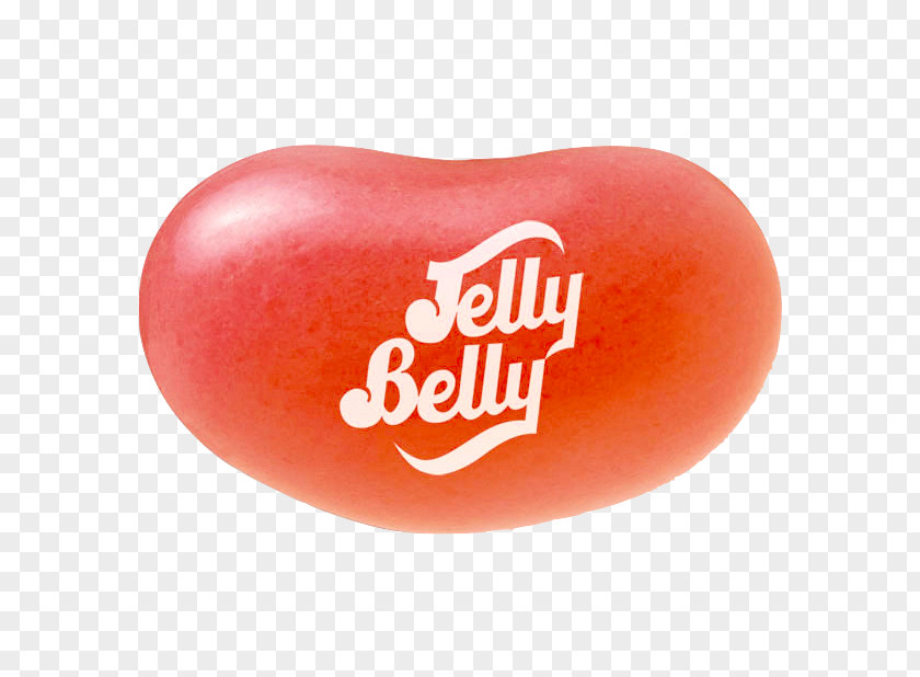 Intel 4004 Die Jelly Belly Chocolate Pudding Fruit The Candy Company PNG