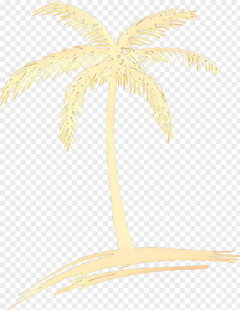 Plant Arecales Date Tree Leaf PNG