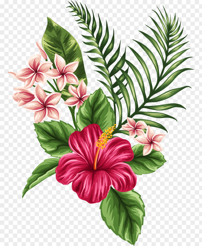 Tropical Flower Tropics Drawing Clip Art PNG
