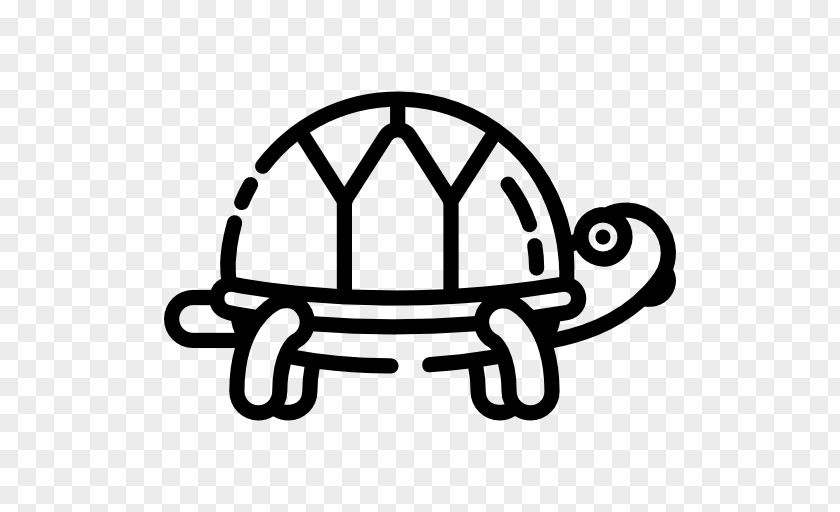 Turtle Icon Pain In Spine Lumbar Disc Herniation Spinal Stenosis Vertebral Column Symptom PNG