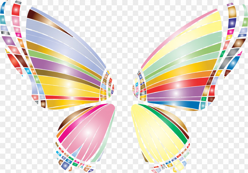 Butterfly Border Insect PNG