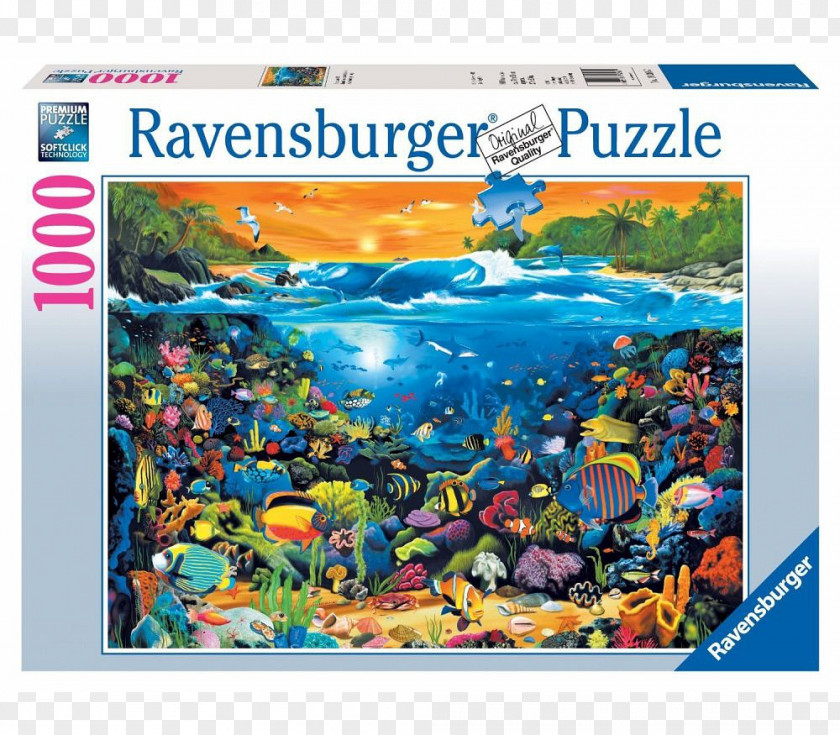 Educação Jigsaw Puzzles Ravensburger Game Djeco PNG