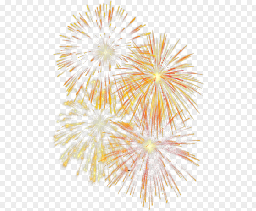 Fireworks Pyrotechnics Firecracker Clip Art PNG