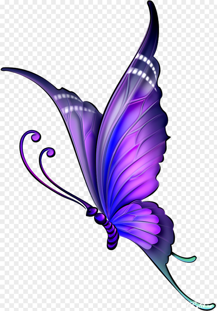 Flying Butterfly Drawing Color Clip Art PNG