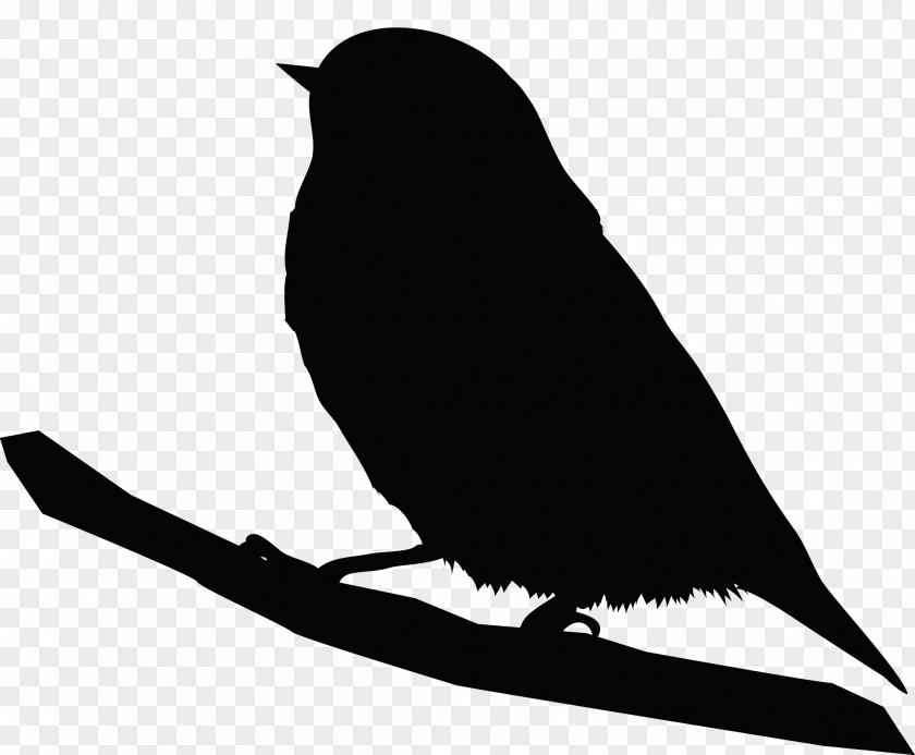Bird Silhouette Clip Art Beak PNG