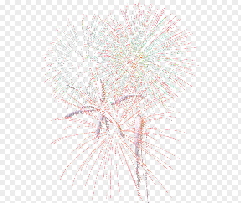 Fireworks Petal Close-up Pattern PNG
