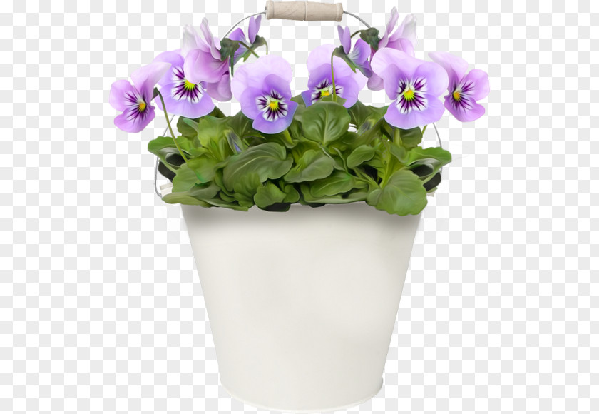 Flower Pansy Clip Art PNG